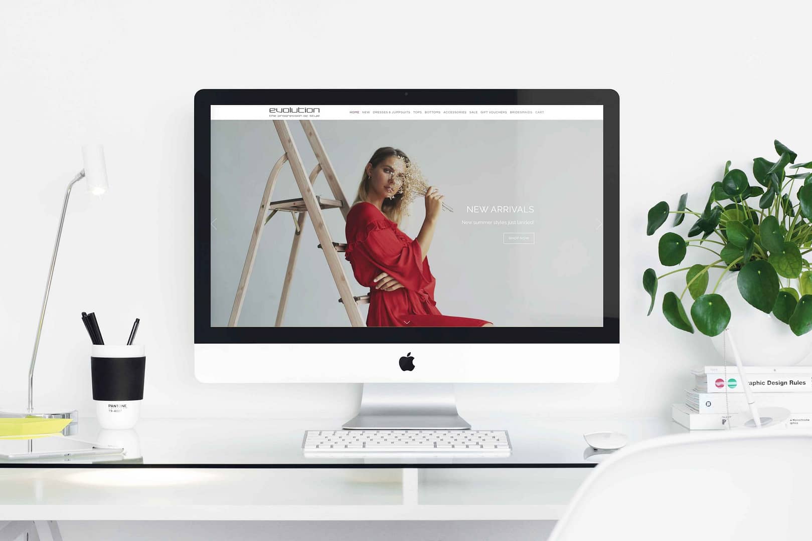 evolutionClothingwebsite build